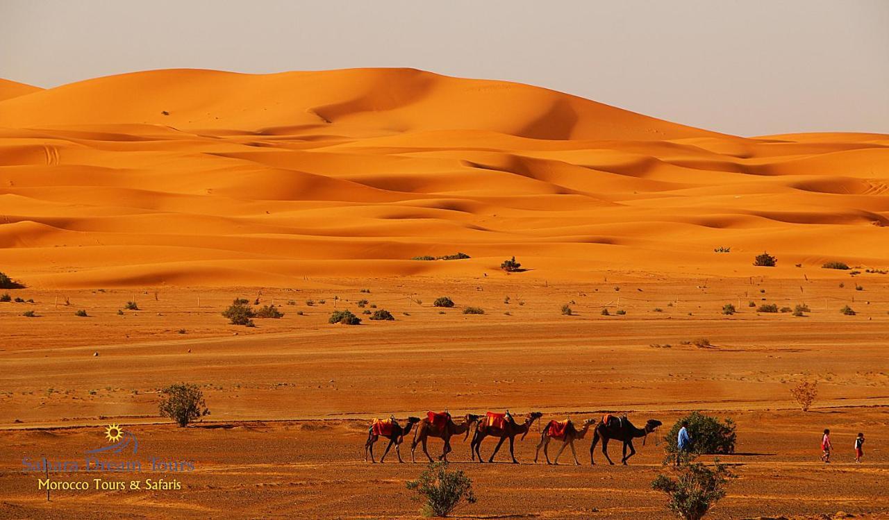 Luxury Sahara Dream Camp Hotel Мерцуга Екстериор снимка